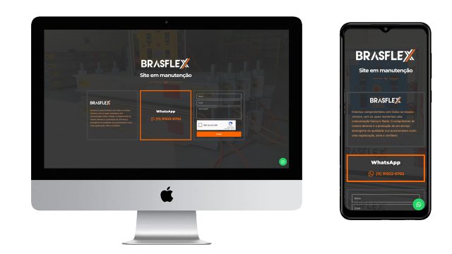 Brasflex